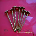 9G*2.5 inch umbrella roofing nails for Africa